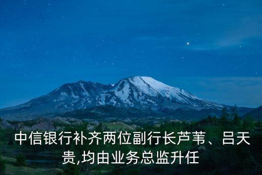  中信銀行補(bǔ)齊兩位副行長(zhǎng)蘆葦、呂天貴,均由業(yè)務(wù)總監(jiān)升任