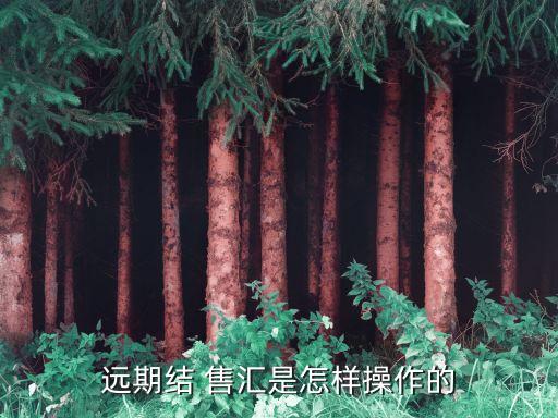 遠期結(jié) 售匯是怎樣操作的