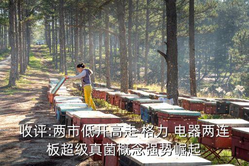 收評(píng):兩市低開高走 格力 電器兩連板超級(jí)真菌概念強(qiáng)勢(shì)崛起