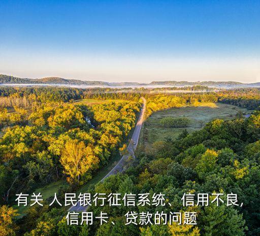 有關(guān) 人民銀行征信系統(tǒng)、信用不良, 信用卡、貸款的問題