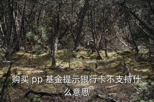 購(gòu)買(mǎi) pp 基金提示銀行卡不支持什么意思