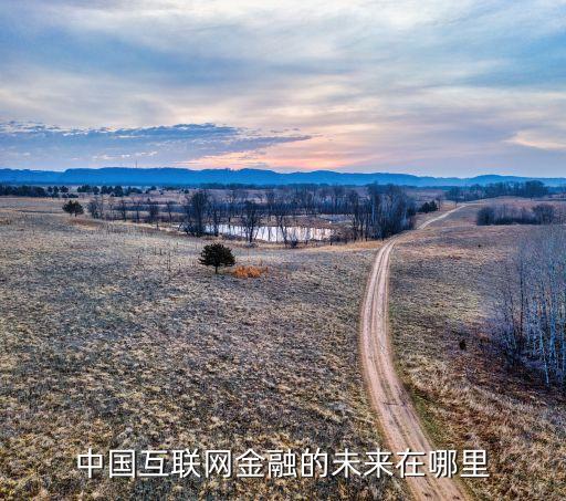 中國互聯(lián)網金融的未來在哪里