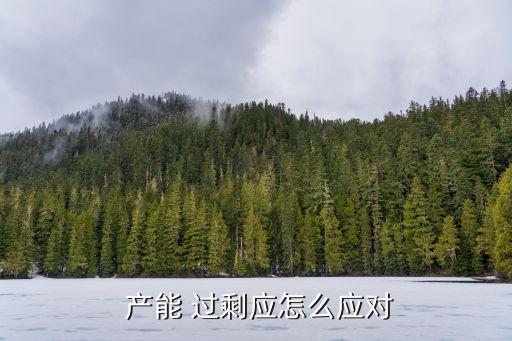  產(chǎn)能 過(guò)剩應(yīng)怎么應(yīng)對(duì)