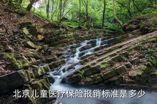  北京兒童醫(yī)療保險報銷標準是多少