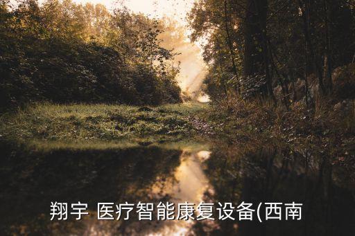 翔宇 醫(yī)療智能康復設(shè)備(西南