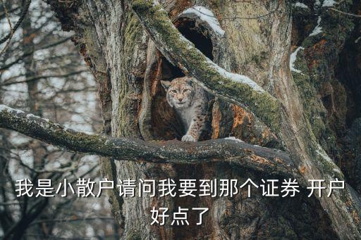 我是小散戶請(qǐng)問我要到那個(gè)證券 開戶好點(diǎn)了
