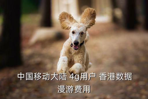  中國(guó)移動(dòng)大陸 4g用戶 香港數(shù)據(jù)漫游費(fèi)用