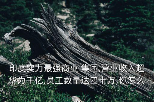 印度實力最強商業(yè) 集團,營業(yè)收入超華為千億,員工數量達四十萬,你怎么...