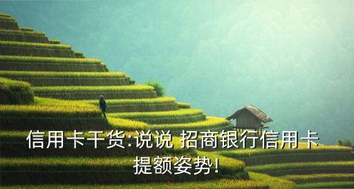 信用卡干貨:說(shuō)說(shuō) 招商銀行信用卡 提額姿勢(shì)!