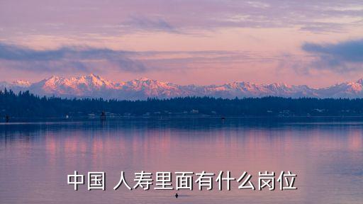 中國(guó)人壽后備個(gè)險(xiǎn)條線(xiàn)管理人員