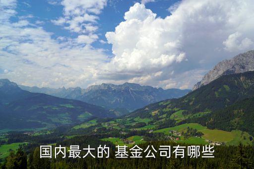 國內最大的 基金公司有哪些