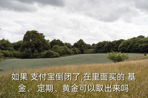 如果 支付寶倒閉了,在里面買的 基金、 定期、黃金可以取出來嗎
