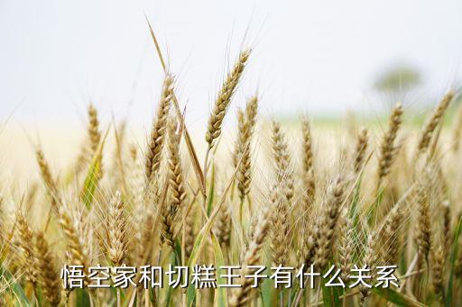 悟空家和切糕王子有什么關系