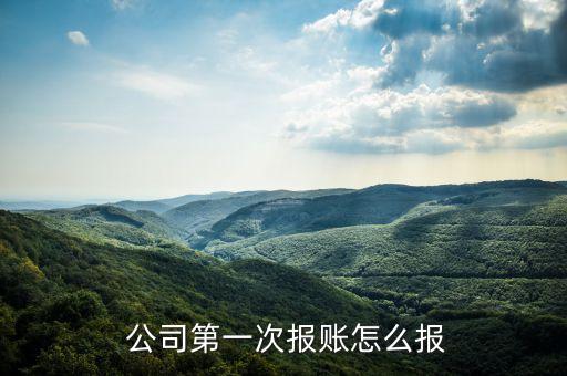  公司第一次報賬怎么報