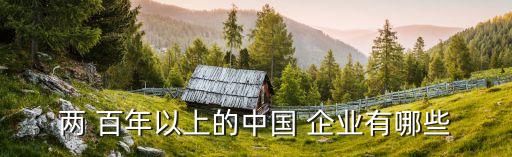 中國有多少家百年企業(yè),中國百年大學有多少家