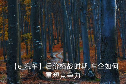 【e 汽車】后價(jià)格戰(zhàn)時期,車企如何重塑競爭力