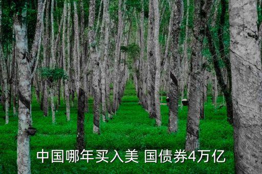 中國(guó)哪年買(mǎi)入美 國(guó)債券4萬(wàn)億
