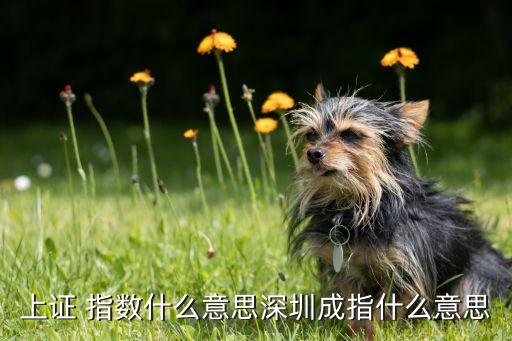 上證 指數什么意思深圳成指什么意思
