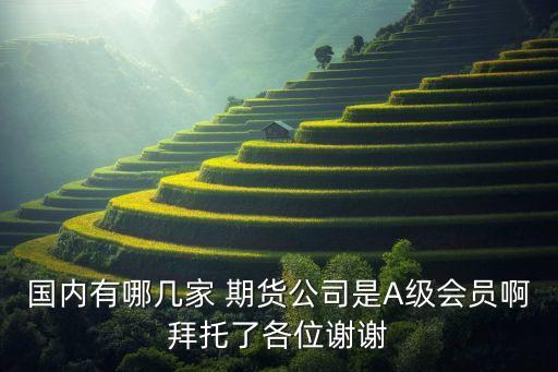 國內(nèi)有哪幾家 期貨公司是A級(jí)會(huì)員啊拜托了各位謝謝