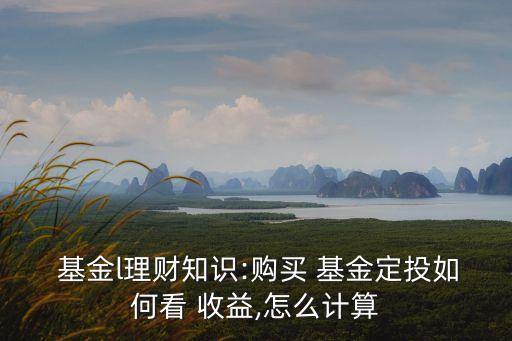  基金l理財(cái)知識(shí):購買 基金定投如何看 收益,怎么計(jì)算