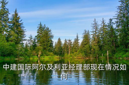 中建國際阿爾及利亞經理部現(xiàn)在情況如何