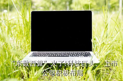 “東數(shù)西算”火了!科技巨頭、 上市 公司積極布局
