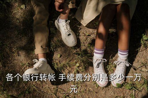 各個銀行轉(zhuǎn)帳 手續(xù)費分別是多少一萬元