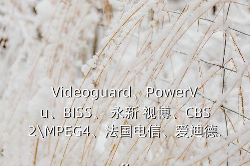 Videoguard、PowerVu、BISS、 永新 視博、CBS2\MPEG4、法國(guó)電信、愛(ài)迪德...