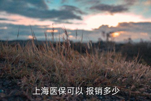  上海醫(yī)保可以 報(bào)銷(xiāo)多少