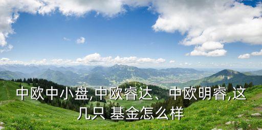 中歐中小盤,中歐睿達(dá)、中歐明睿,這幾只 基金怎么樣