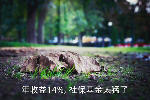 年收益14%, 社?；鹛土? class=