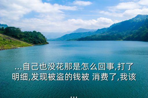 ...自己也沒(méi)花那是怎么回事,打了明細(xì),發(fā)現(xiàn)被盜的錢(qián)被 消費(fèi)了,我該...