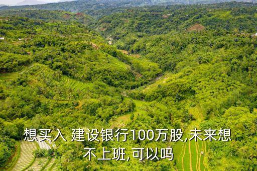 想買入 建設銀行100萬股,未來想不上班,可以嗎