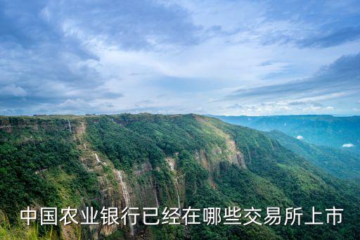  中國(guó)農(nóng)業(yè)銀行已經(jīng)在哪些交易所上市