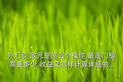 外匯炒 歐元是怎么個(gè)操作,最底門(mén)檻需要多少,收益又怎樣計(jì)算詳細(xì)的...