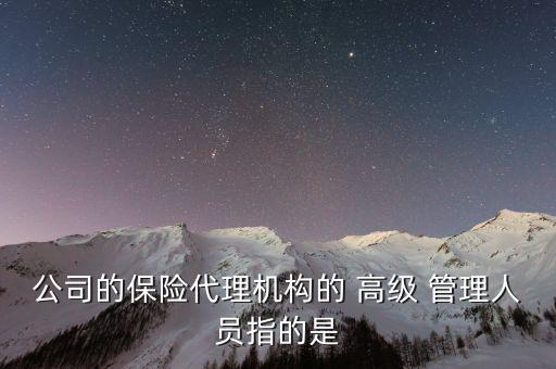 公司的保險(xiǎn)代理機(jī)構(gòu)的 高級 管理人員指的是