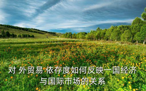 對 外貿(mào)易 依存度如何反映一國經(jīng)濟與國際市場的關系