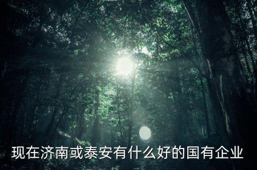 現(xiàn)在濟(jì)南或泰安有什么好的國(guó)有企業(yè)