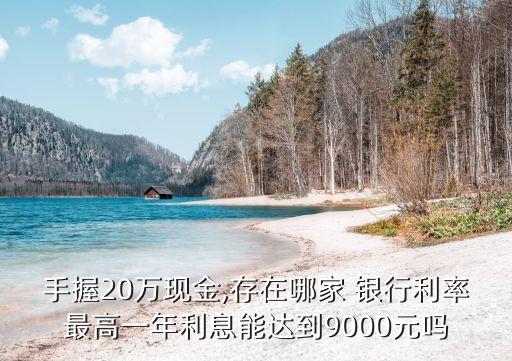 手握20萬現(xiàn)金,存在哪家 銀行利率最高一年利息能達(dá)到9000元嗎