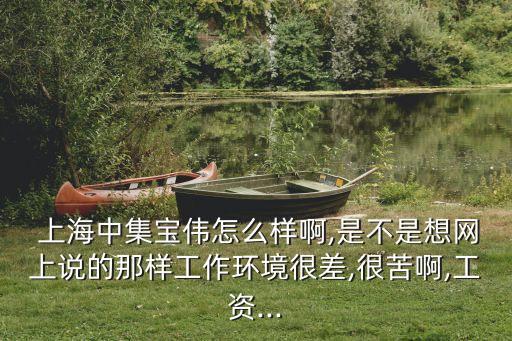  上海中集寶偉怎么樣啊,是不是想網上說的那樣工作環(huán)境很差,很苦啊,工資...