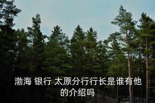  渤海 銀行 太原分行行長(zhǎng)是誰(shuí)有他的介紹嗎