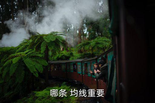 哪條 均線(xiàn)重要