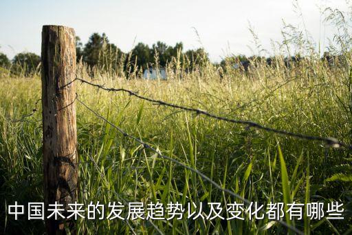 中國(guó)未來(lái)的發(fā)展趨勢(shì)以及變化都有哪些