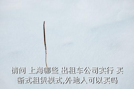 請(qǐng)問(wèn) 上海哪些 出租車公司實(shí)行 買斷式租賃模式,外地人可以買嗎