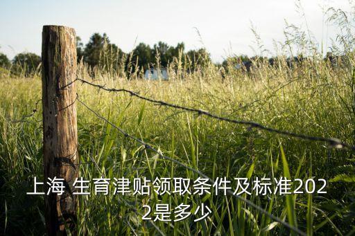 上海 生育津貼領取條件及標準2022是多少