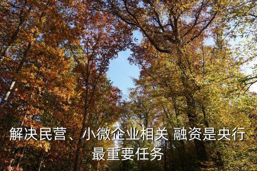 解決民營、小微企業(yè)相關(guān) 融資是央行最重要任務(wù)
