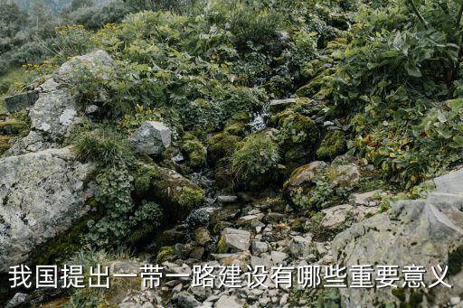 我國提出一帶一路建設有哪些重要意義