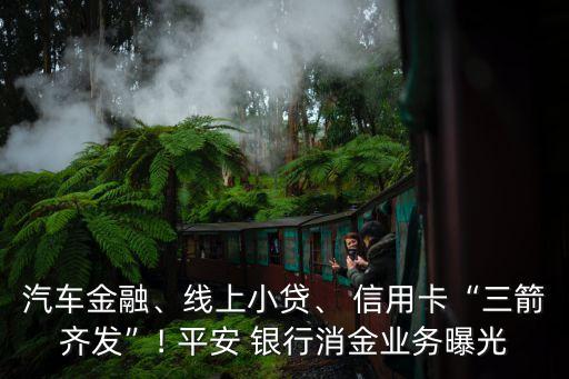 汽車金融、線上小貸、 信用卡“三箭齊發(fā)”! 平安 銀行消金業(yè)務(wù)曝光