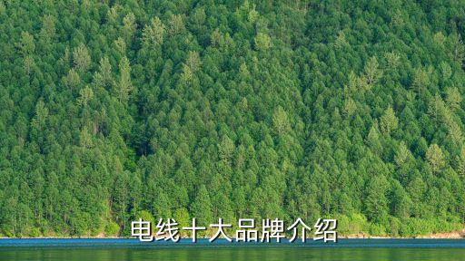 上海南洋電纜集團總經(jīng)理,新加坡南洋國際集團總經(jīng)理