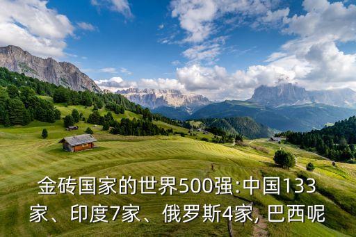 金磚國家的世界500強(qiáng):中國133家、印度7家、俄羅斯4家, 巴西呢